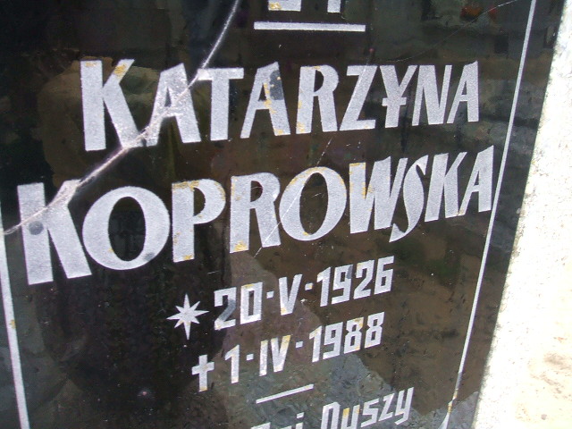 Bogusław Koprowski 1953 Santok - Grobonet - Wyszukiwarka osób pochowanych